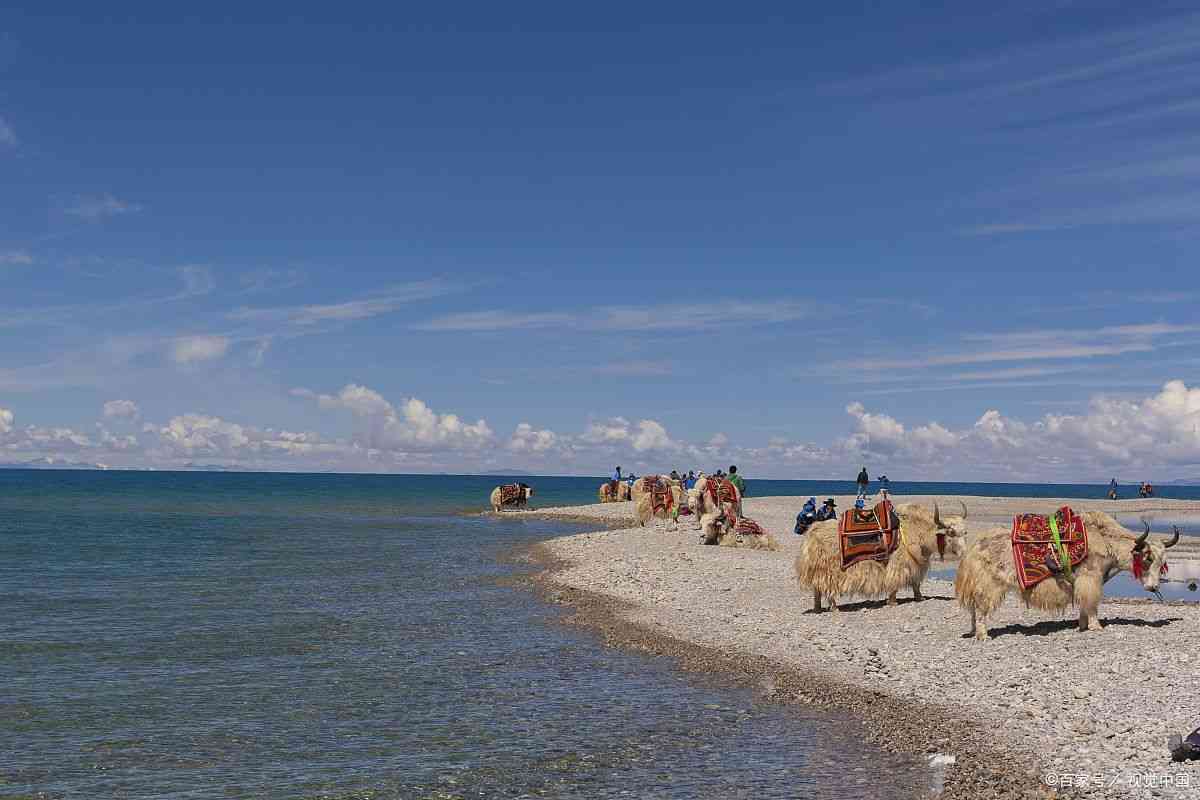 青海旅行团买玉