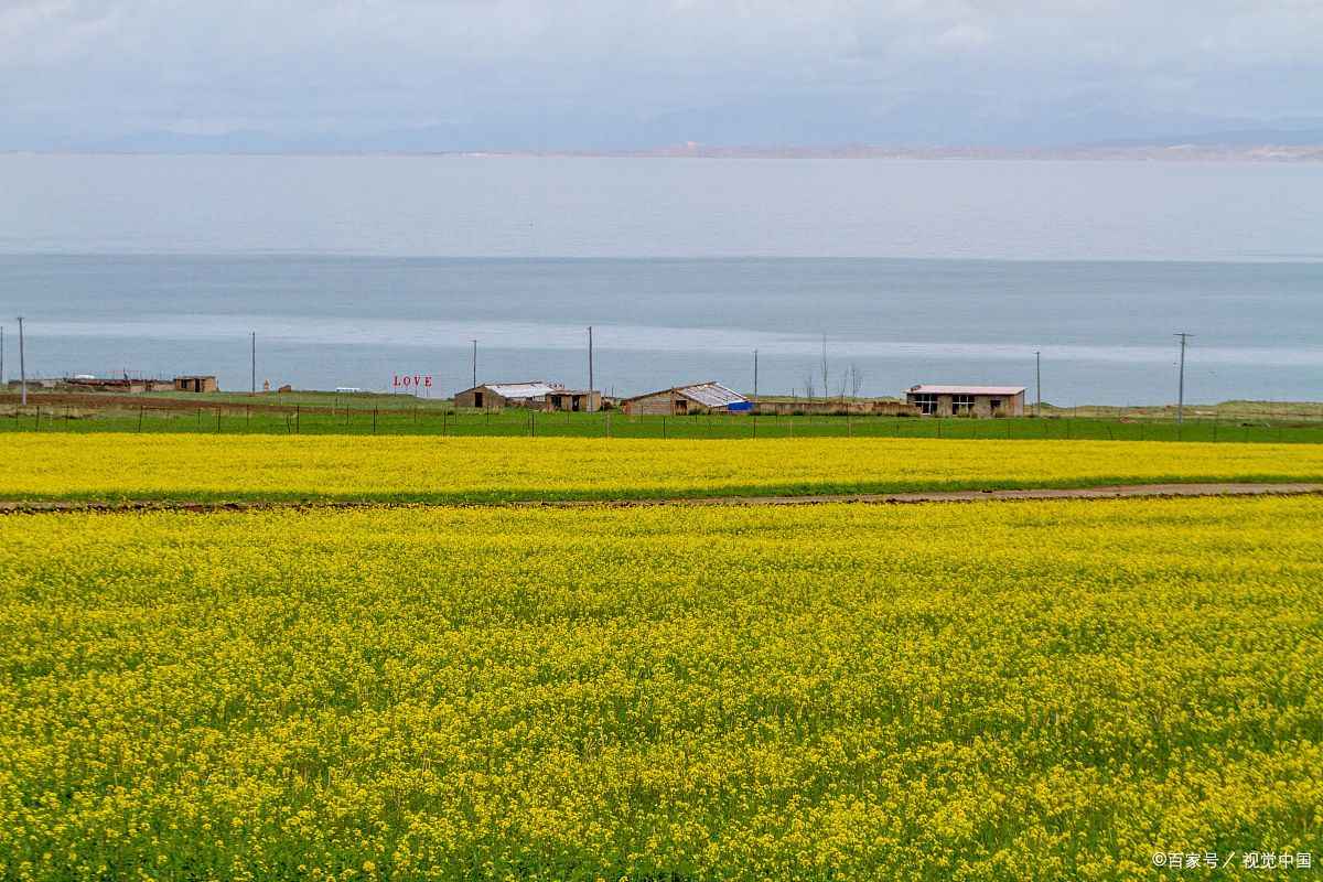 青海旅行团