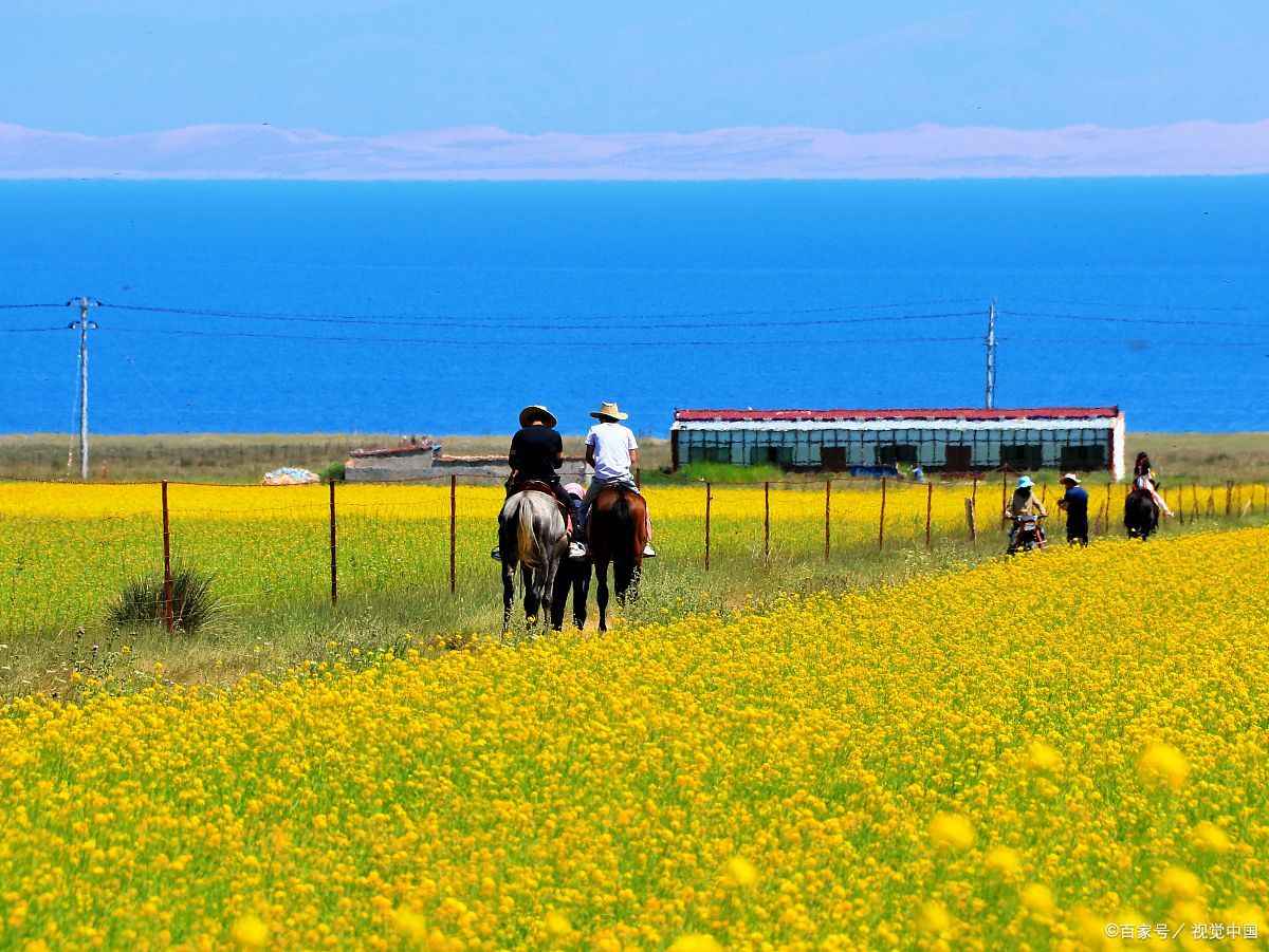 青海旅行团旅游报价多少